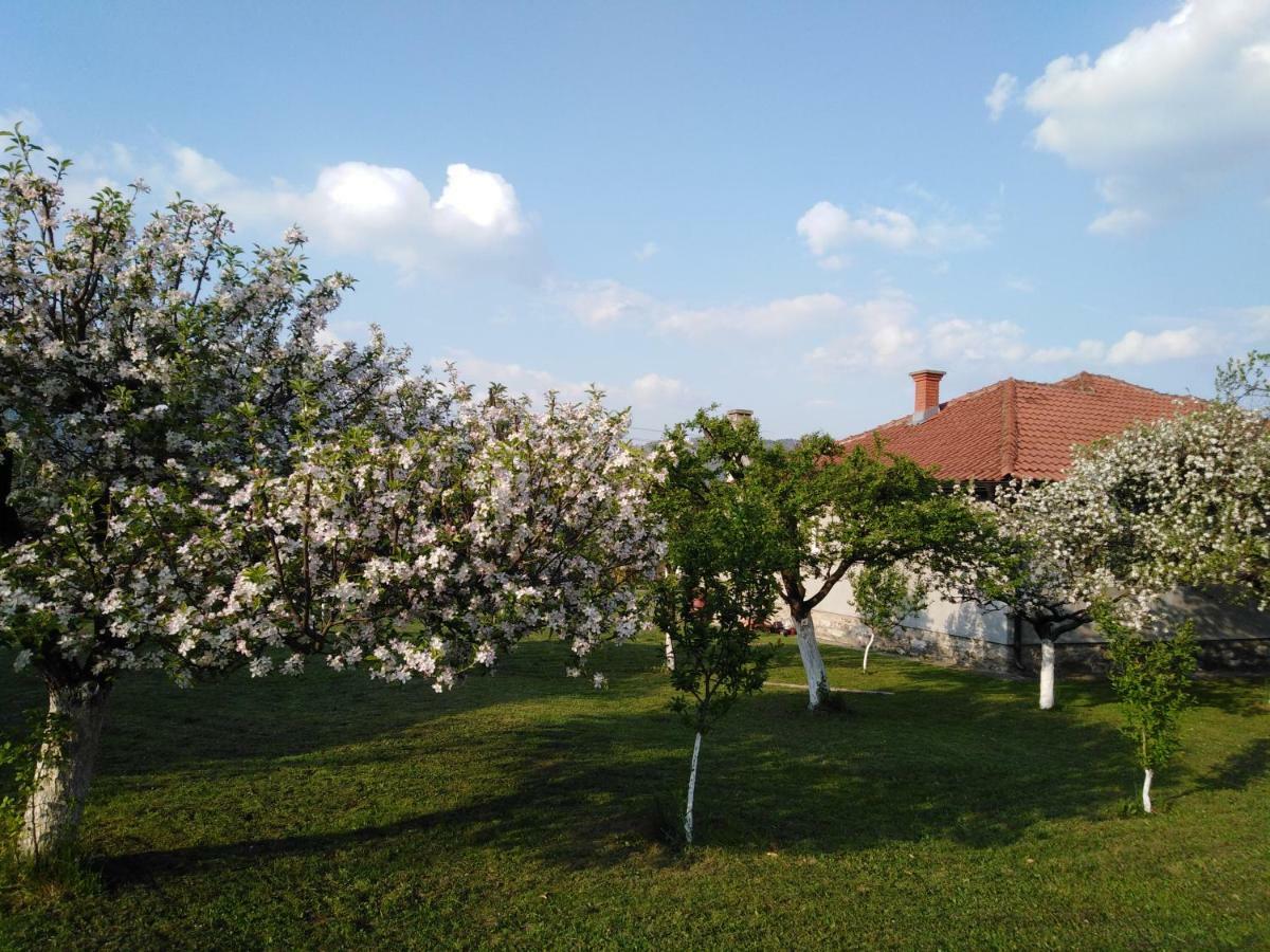 Mala Basta Bajina Basta Exterior foto